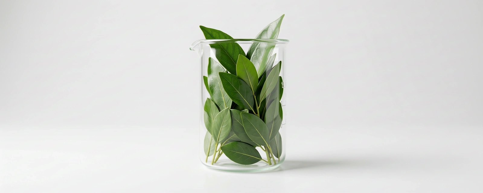 Ciencia y Nutrición